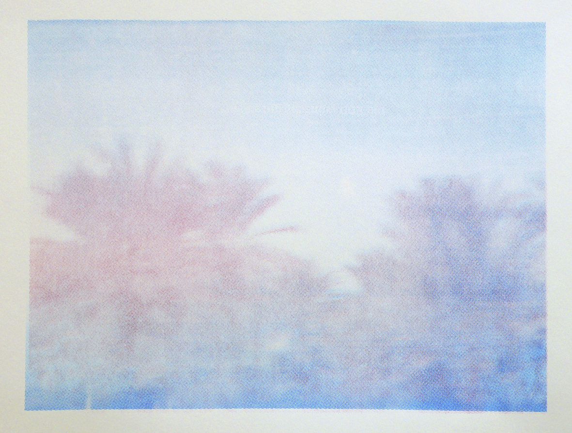 Palm Trees of Iraq